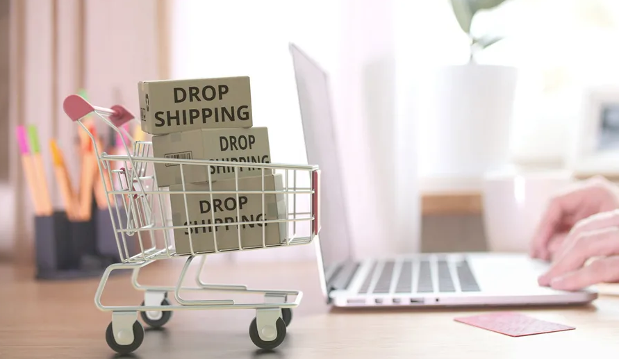 e ticaret dropshipping